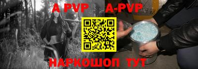 apvp Кингисепп